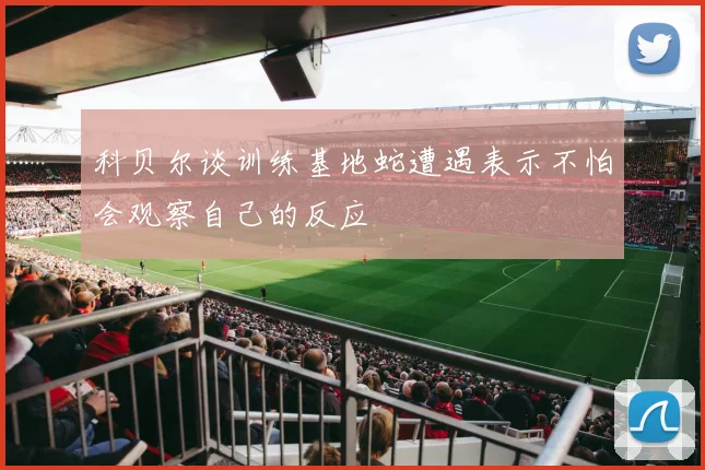 科贝尔谈训练基地蛇遭遇表示不怕会观察自己的反应