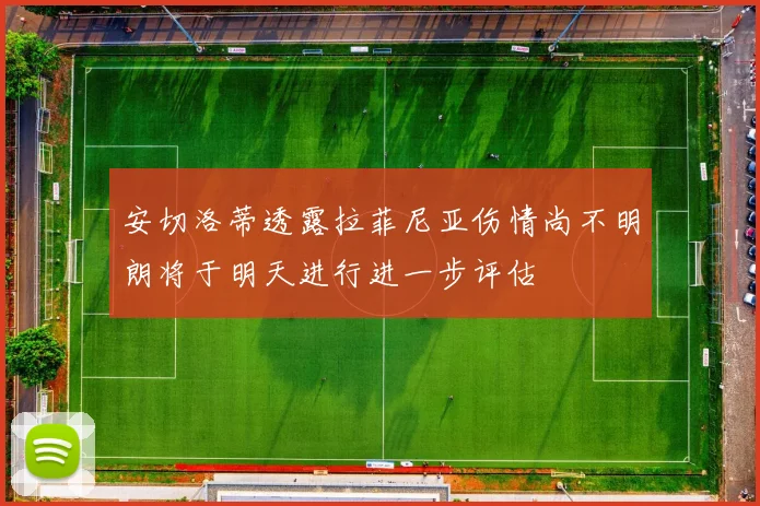 安切洛蒂透露拉菲尼亚伤情尚不明朗将于明天进行进一步评估